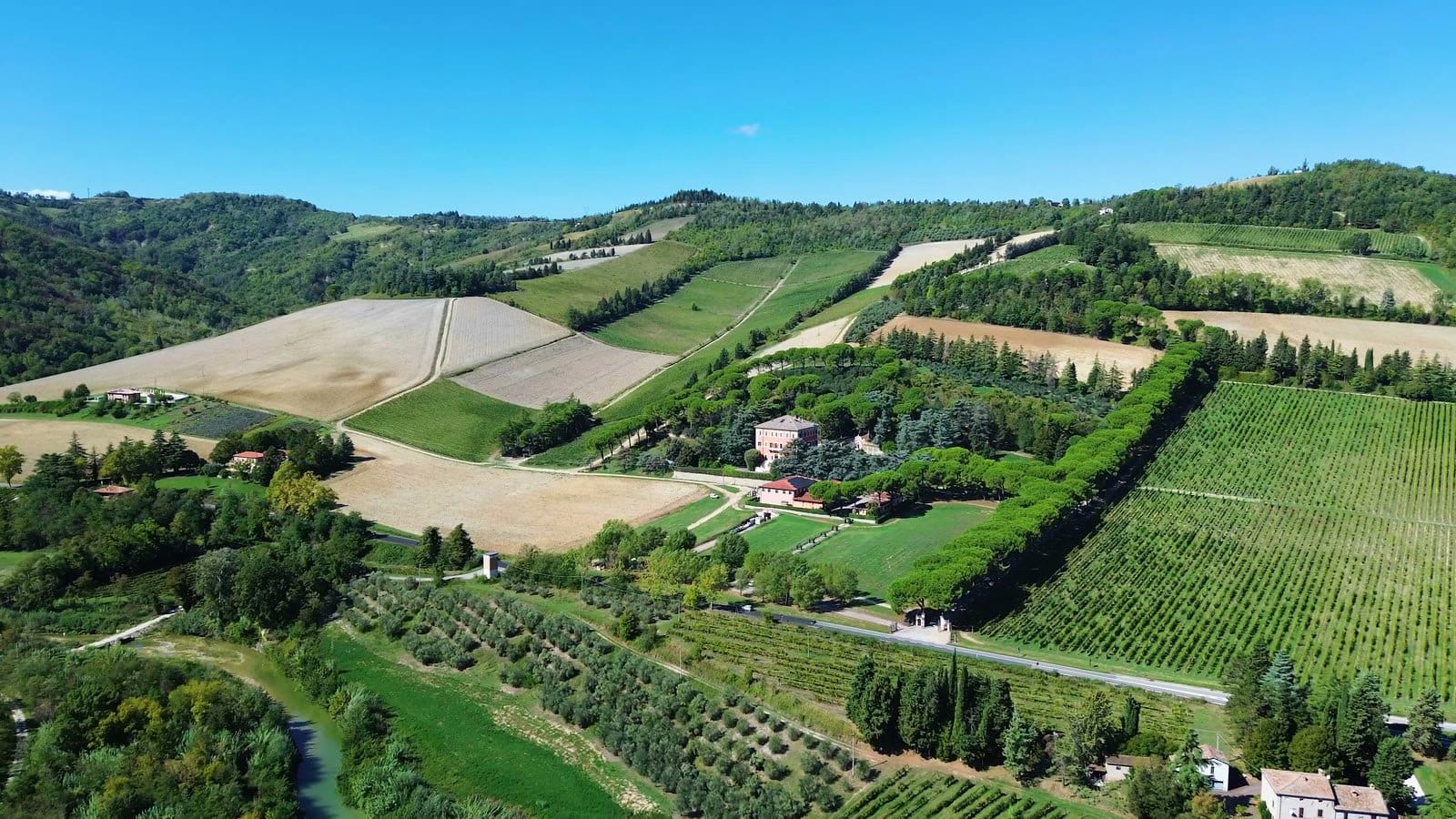 foto: panoramica sulle colline della Tenuta Pandolfa